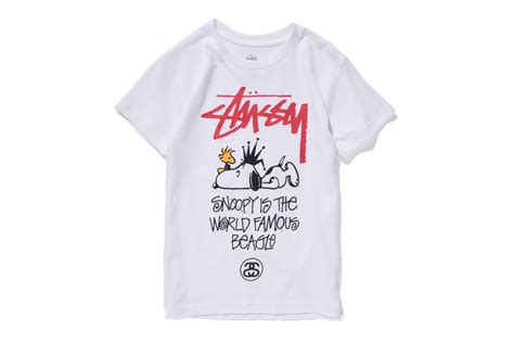 stussy clothing kids.